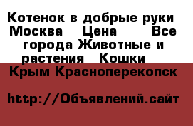 Котенок в добрые руки. Москва. › Цена ­ 5 - Все города Животные и растения » Кошки   . Крым,Красноперекопск